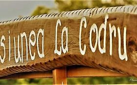 Pensiunea La Codru
